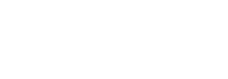 Evobike